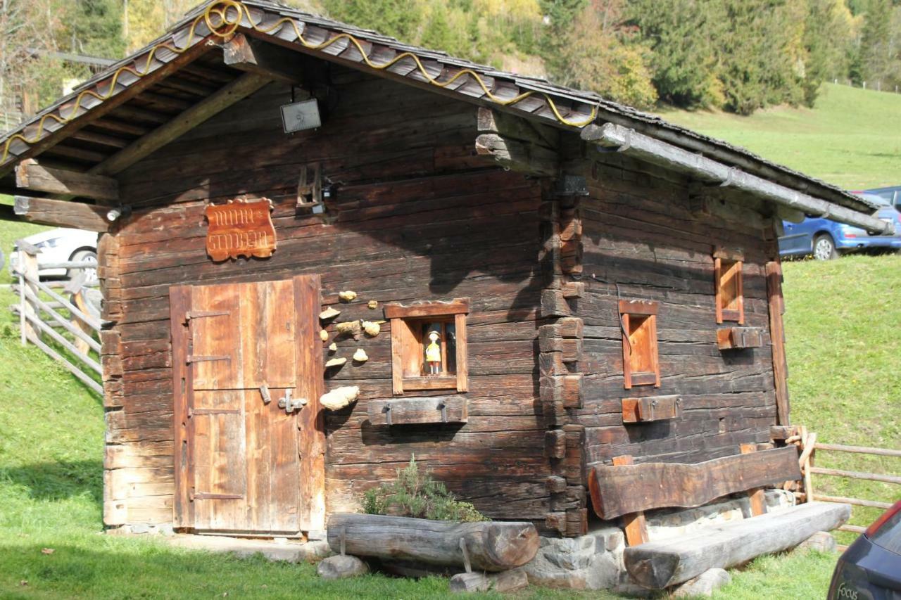 Appartement Wildkogel Neukirchen am Großvenediger Exterior photo